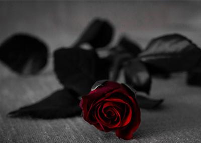 箱包定制行业六大特点