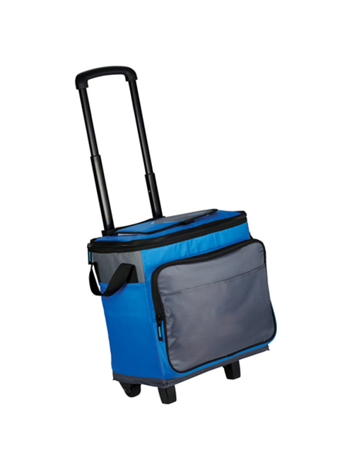CB-E-002 Arctic Zone® 35 Can Rolling Cooler.jpg